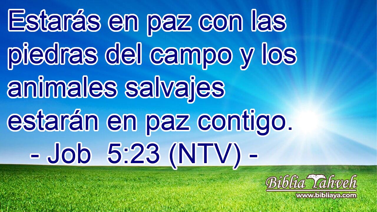 Estarás en paz con las piedras del campo y los animales salvajes estarán en paz contigo.