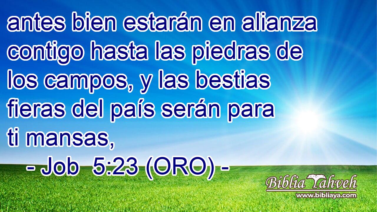  antes bien estarán en alianza contigo hasta las piedras de los campos, y las bestias fieras del país serán para ti mansas, 