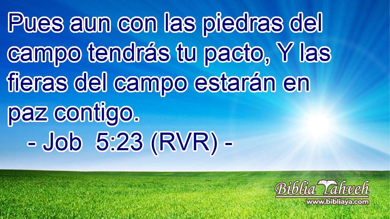 Pues aun con las piedras del campo tendrás tu pacto, Y las fieras del campo estarán en paz contigo.