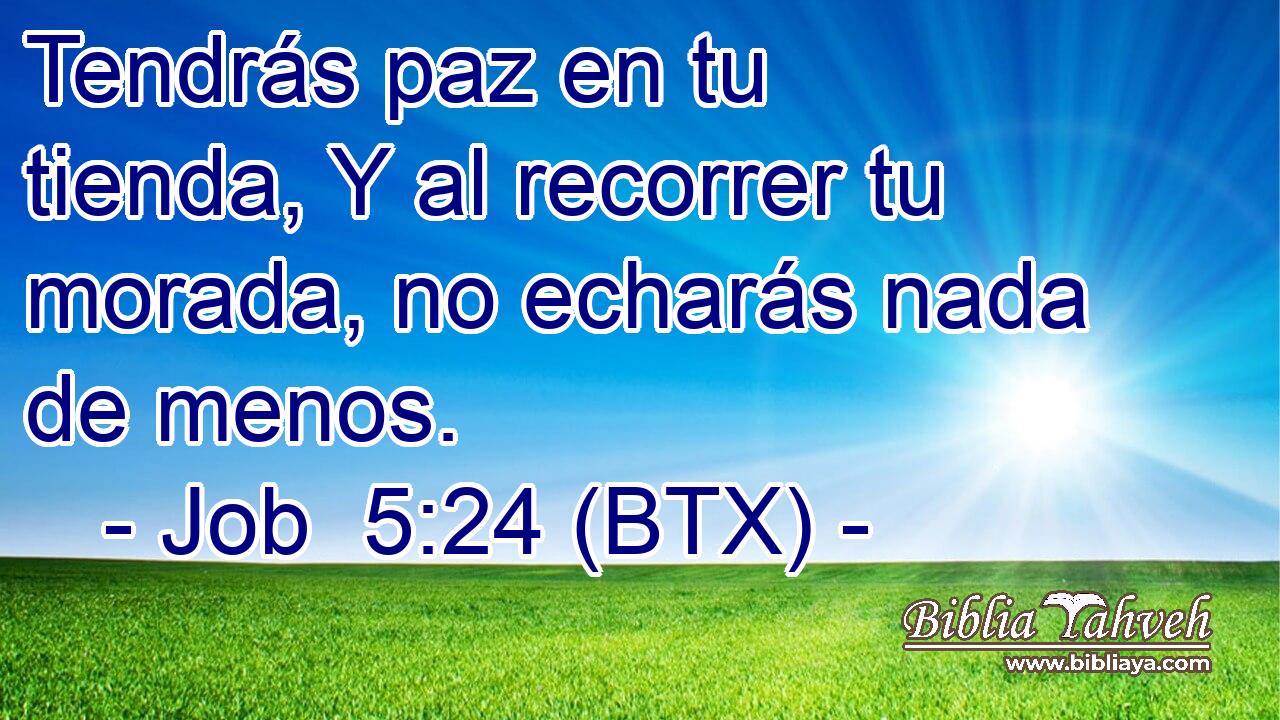 Tendrás paz en tu tienda, Y al recorrer tu morada, no echarás nada de menos.