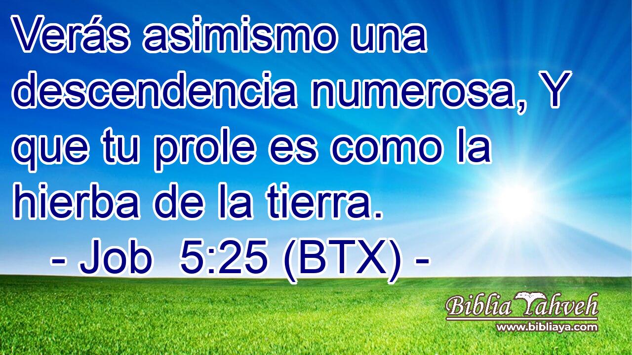 Verás asimismo una descendencia numerosa, Y que tu prole es como la hierba de la tierra.