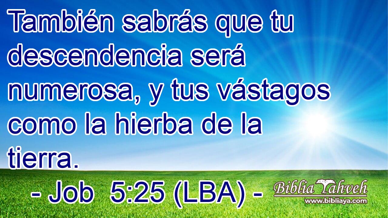 También sabrás que tu descendencia será numerosa, y tus vástagos como la hierba de la tierra.