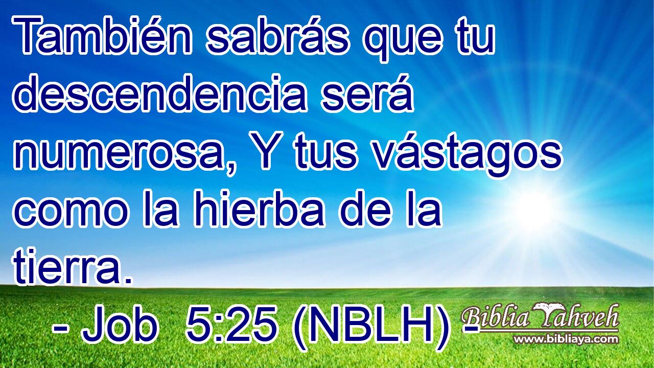  También sabrás que tu descendencia será numerosa, Y tus vástagos como la hierba de la tierra. 