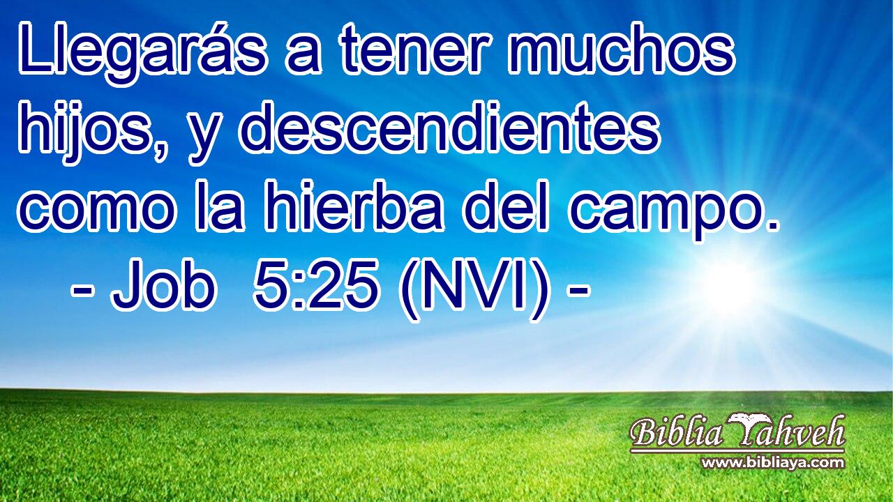  Llegarás a tener muchos hijos, y descendientes como la hierba del campo. 