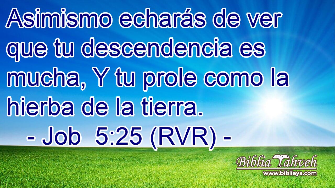 Asimismo echarás de ver que tu descendencia es mucha, Y tu prole como la hierba de la tierra.