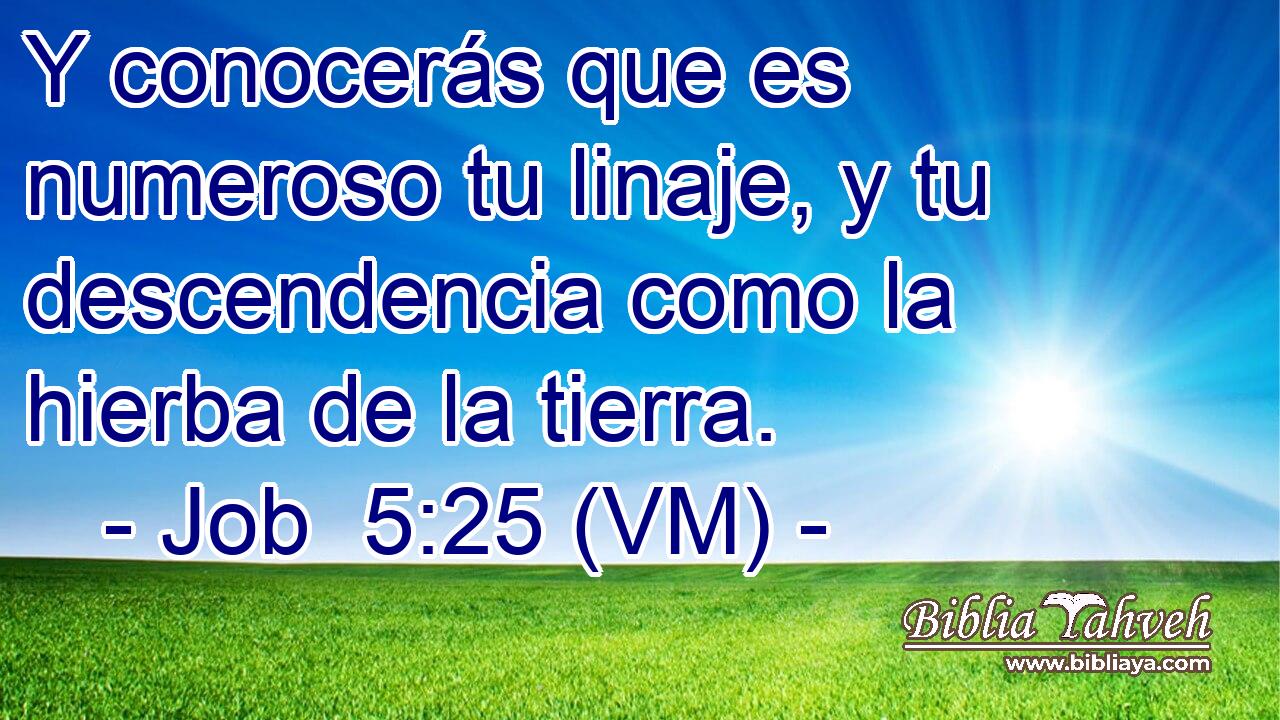  Y conocerás que es numeroso tu linaje, y tu descendencia como la hierba de la tierra. 