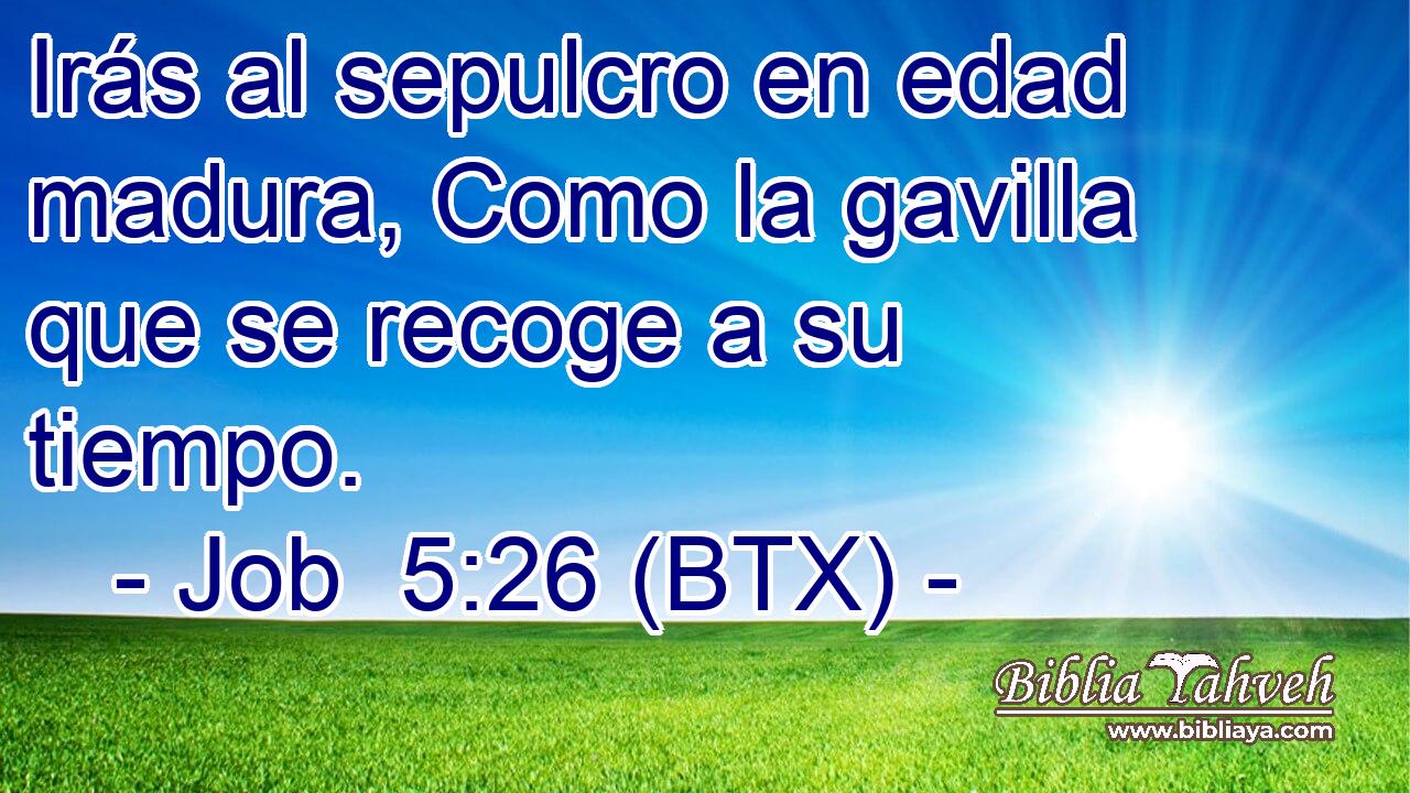 Irás al sepulcro en edad madura, Como la gavilla que se recoge a su tiempo.