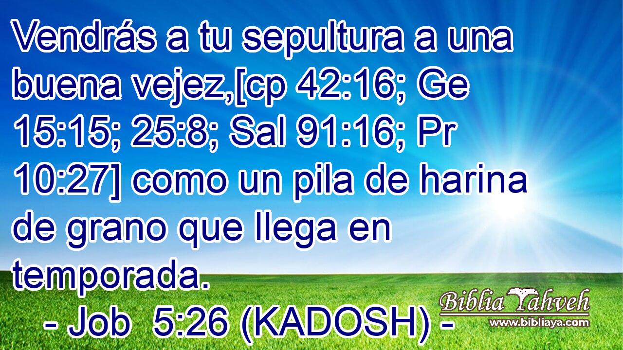  Vendrás a tu sepultura a una buena vejez,[cp 42:16; Ge 15:15; 25:8; Sal 91:16; Pr 10:27] como un pila de harina de grano que llega en temporada. 