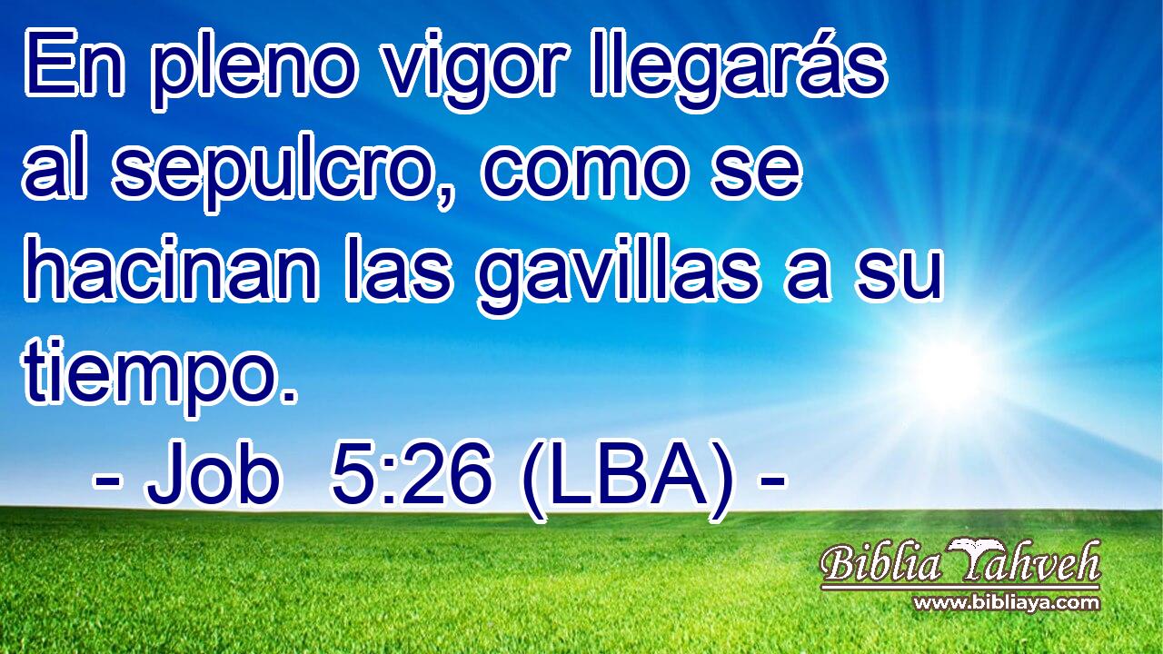 En pleno vigor llegarás al sepulcro, como se hacinan las gavillas a su tiempo.