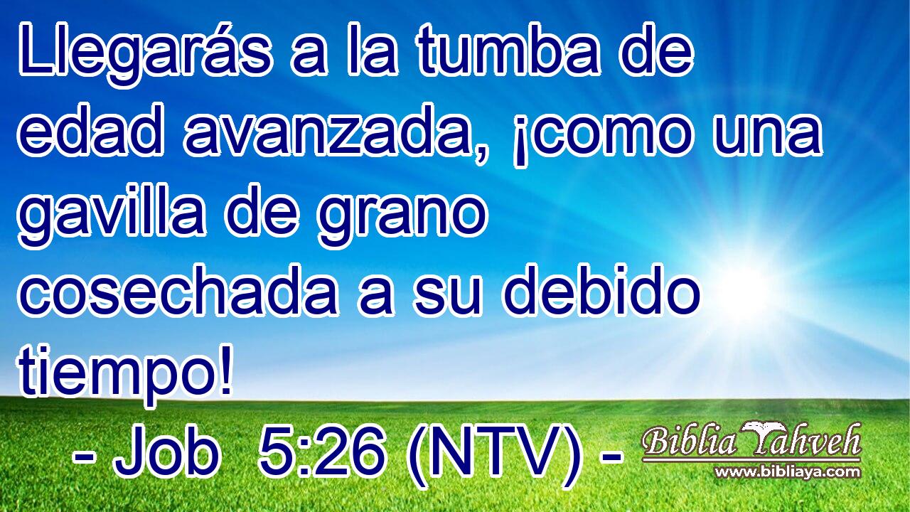 Llegarás a la tumba de edad avanzada, ¡como una gavilla de grano cosechada a su debido tiempo!