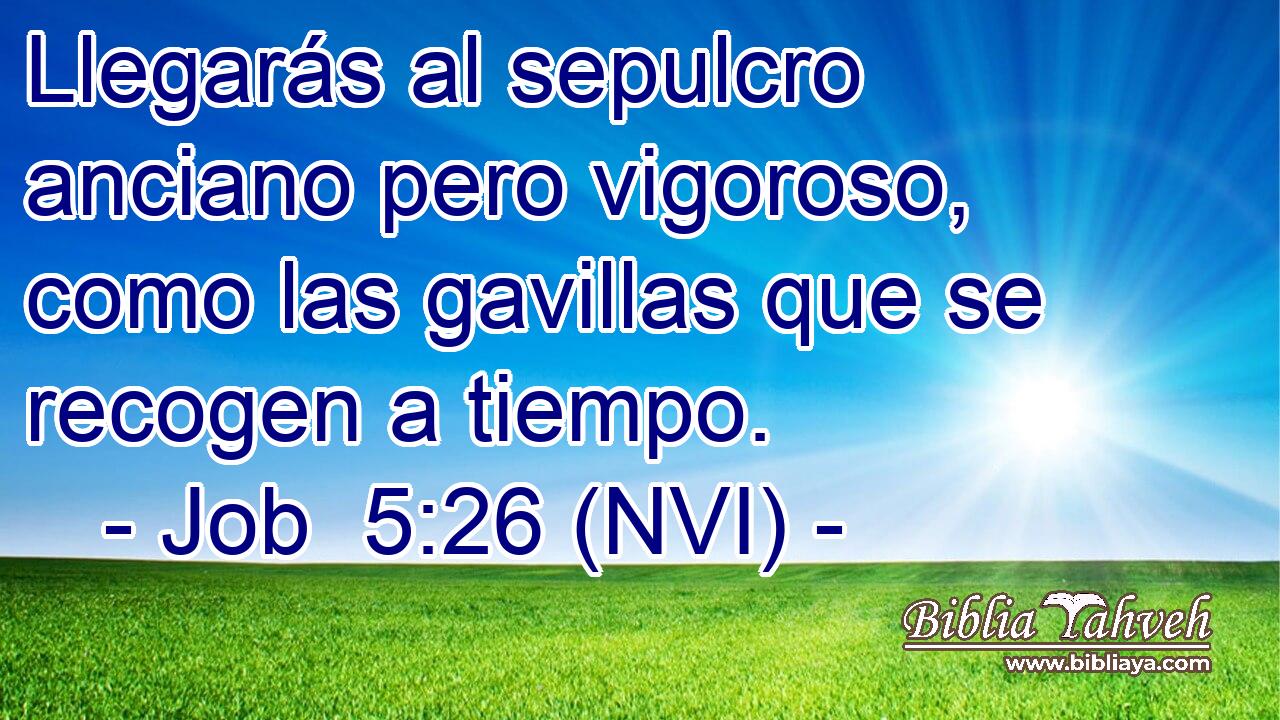  Llegarás al sepulcro anciano pero vigoroso, como las gavillas que se recogen a tiempo. 
