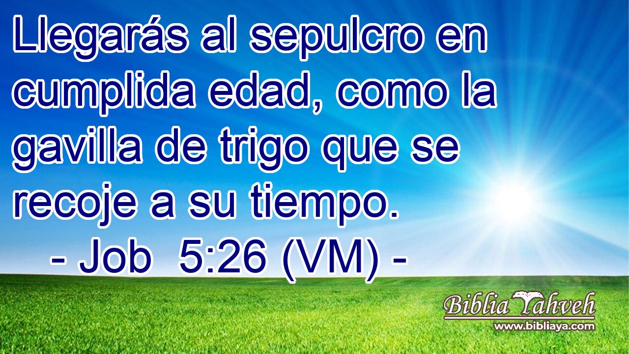  Llegarás al sepulcro en cumplida edad, como la gavilla de trigo que se recoje a su tiempo. 