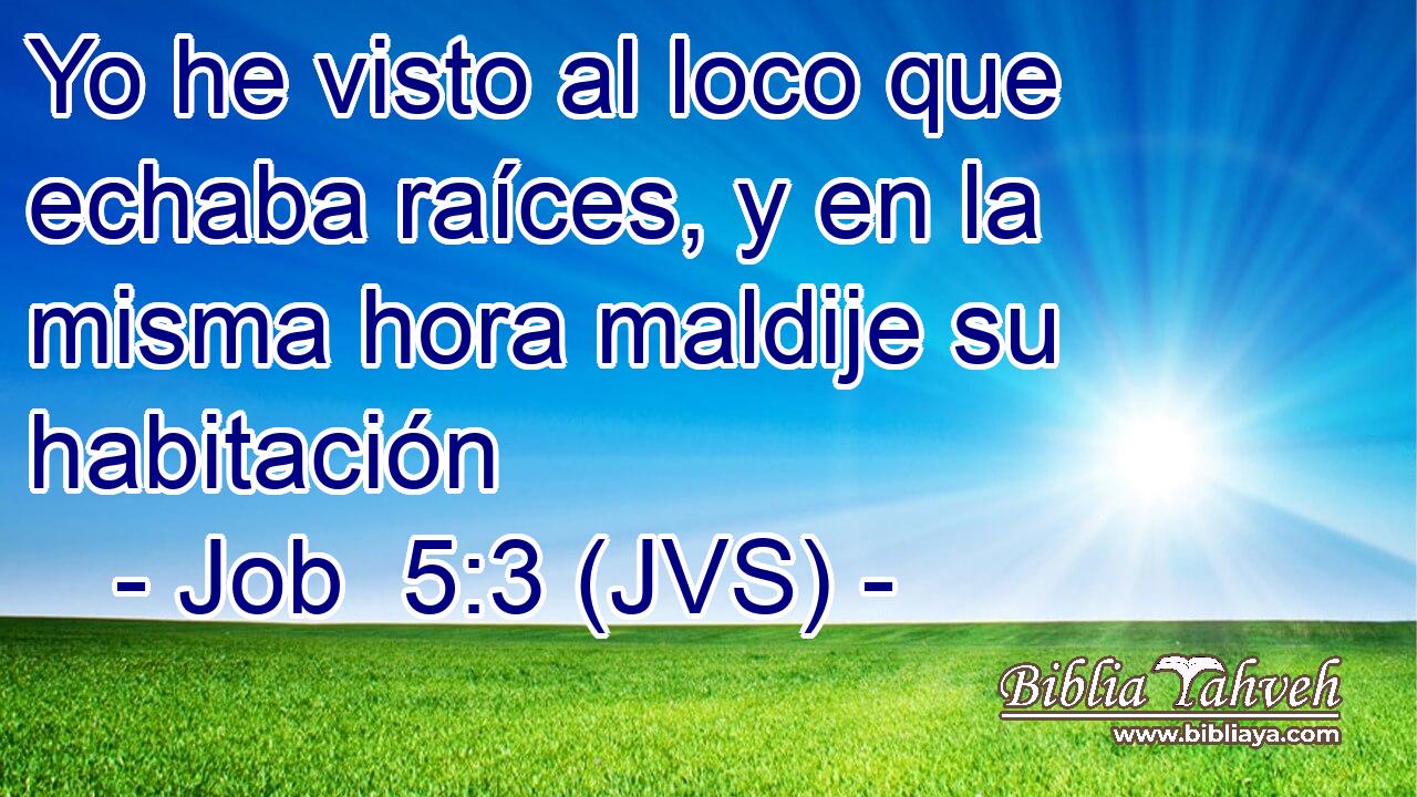 Yo he visto al loco que echaba raíces, y en la misma hora maldije su habitación