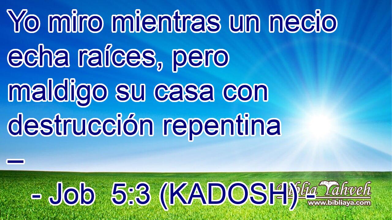  Yo miro mientras un necio echa raíces, pero maldigo su casa con destrucción repentina – 