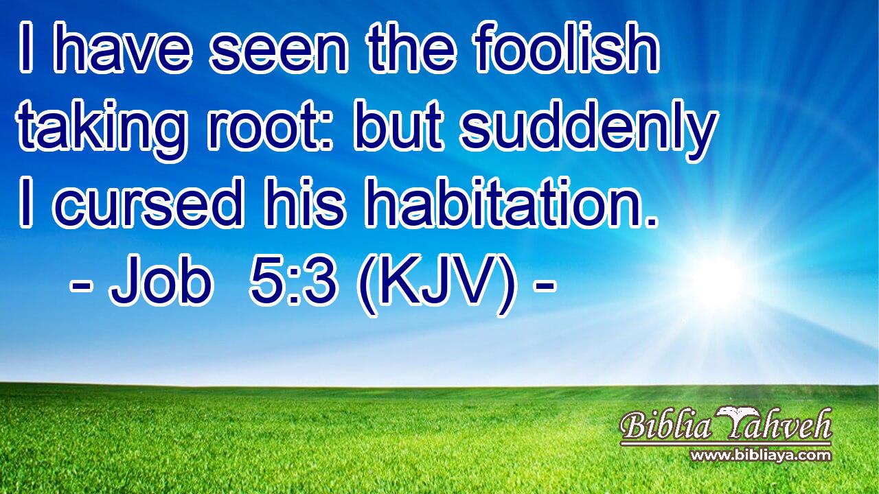 I have seen the foolish taking root: but suddenly I cursed his habitation.