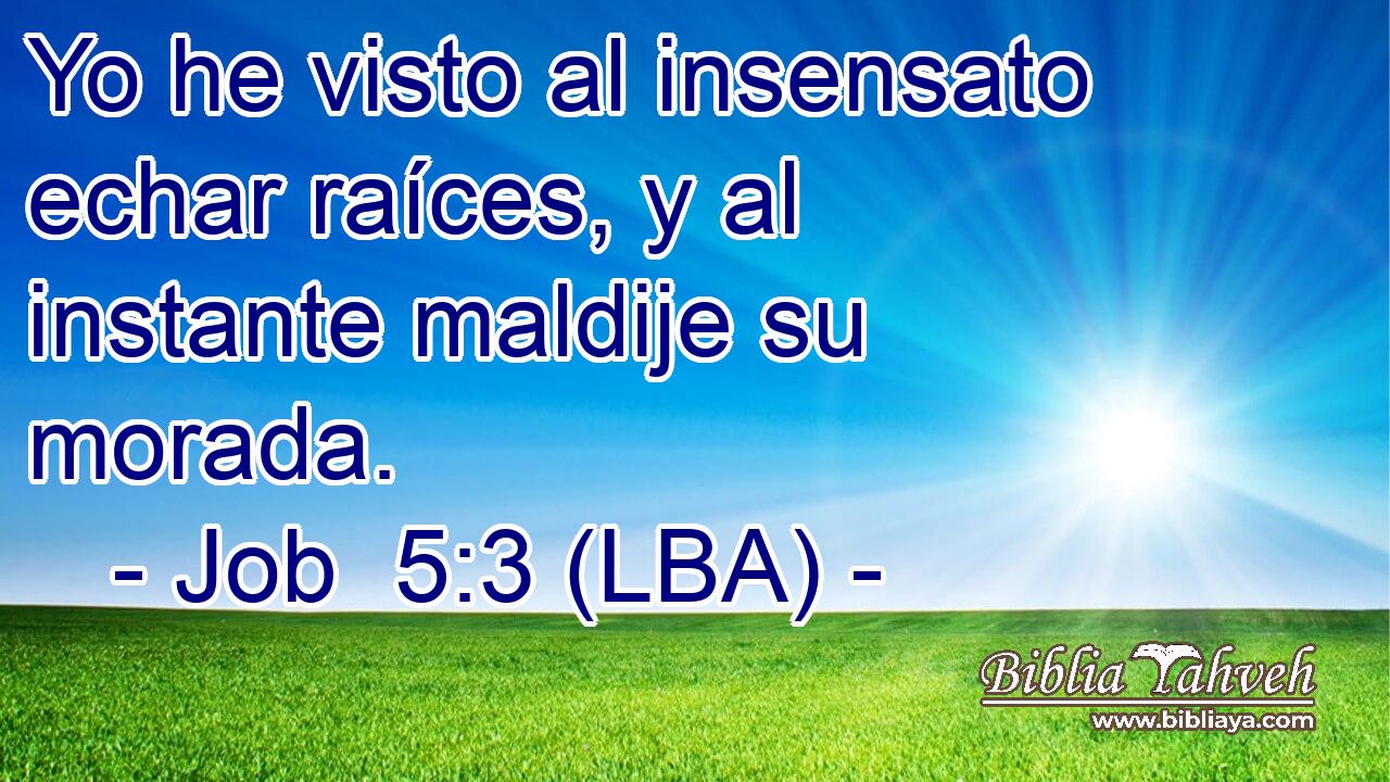 Yo he visto al insensato echar raíces, y al instante maldije su morada.