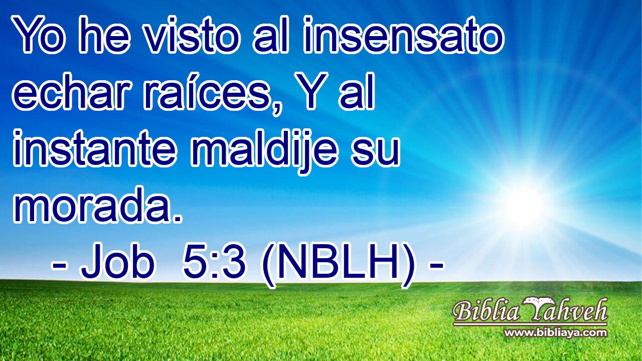  Yo he visto al insensato echar raíces, Y al instante maldije su morada. 