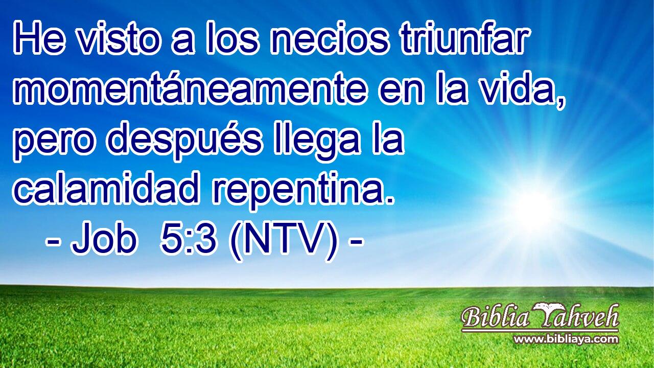He visto a los necios triunfar momentáneamente en la vida, pero después llega la calamidad repentina.