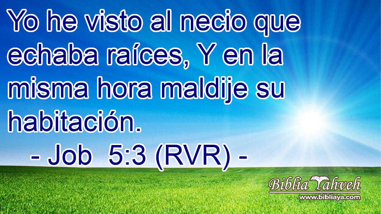 Yo he visto al necio que echaba raíces, Y en la misma hora maldije su habitación.