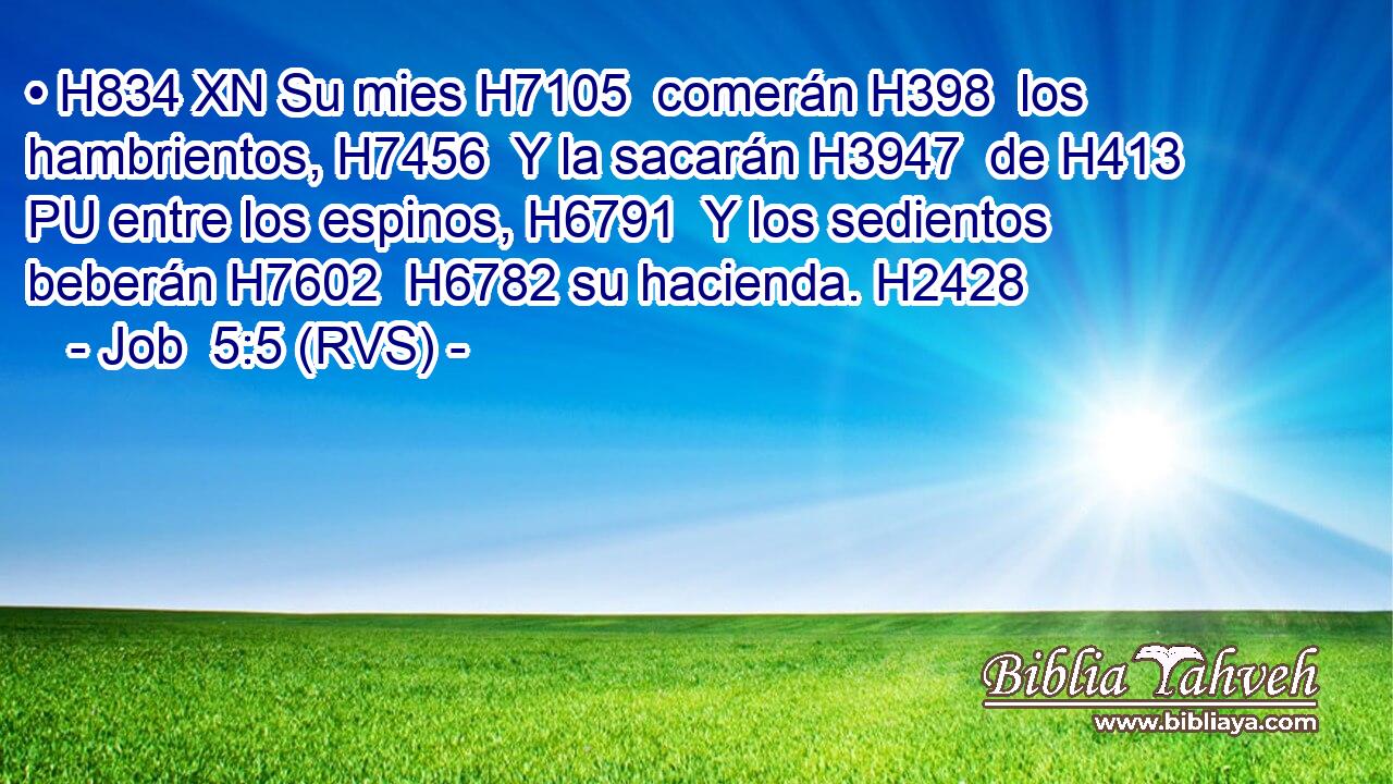 • H834 XN Su mies H7105  comerán H398  los hambrientos, H7456  Y la sacarán H3947  de H413 PU entre los espinos, H6791  Y los sedientos beberán H7602  H6782 su hacienda. H2428  