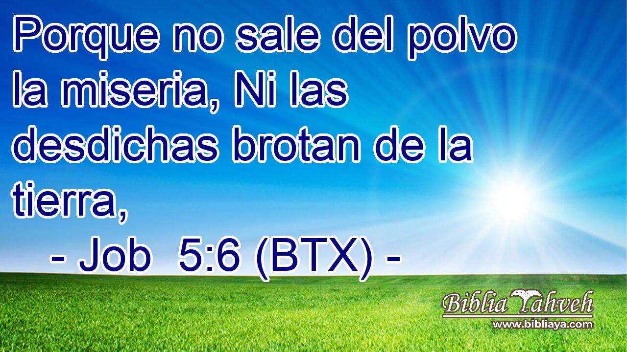 Porque no sale del polvo la miseria, Ni las desdichas brotan de la tierra,