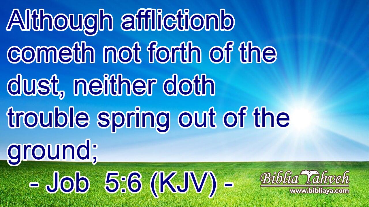 Although afflictionb cometh not forth of the dust, neither doth trouble spring out of the ground;
