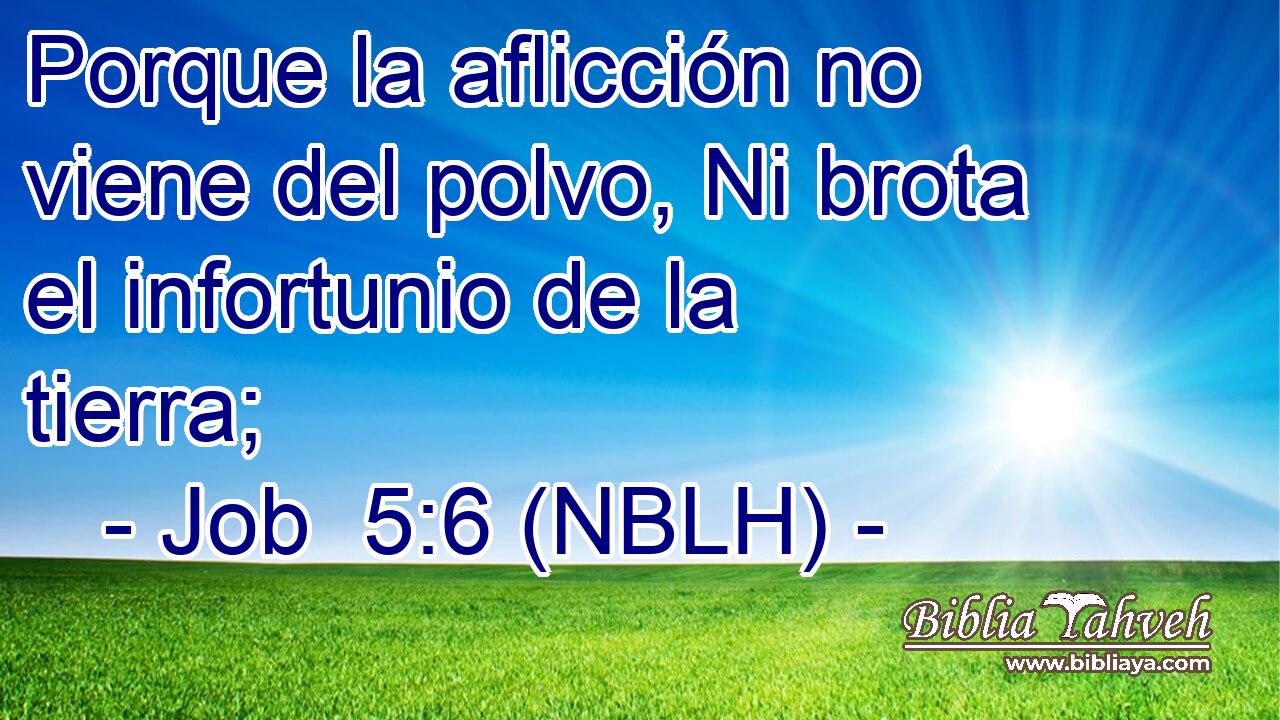  Porque la aflicción no viene del polvo, Ni brota el infortunio de la tierra; 