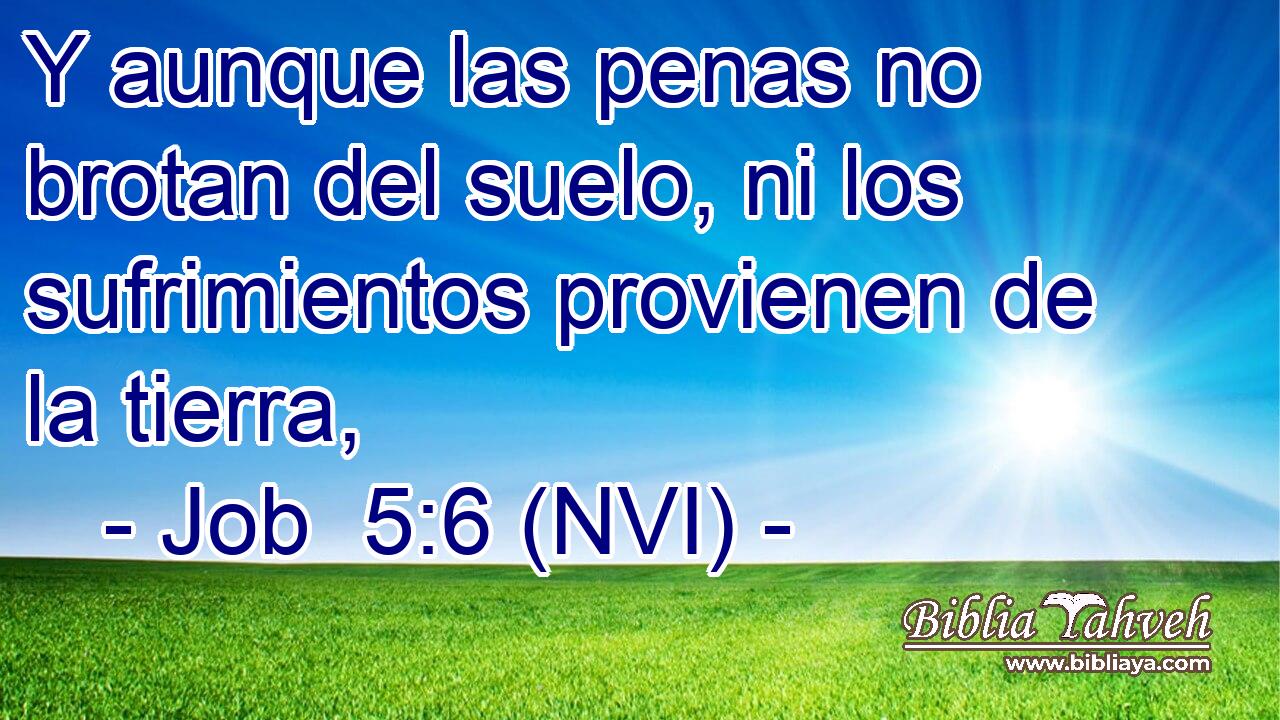  Y aunque las penas no brotan del suelo, ni los sufrimientos provienen de la tierra, 
