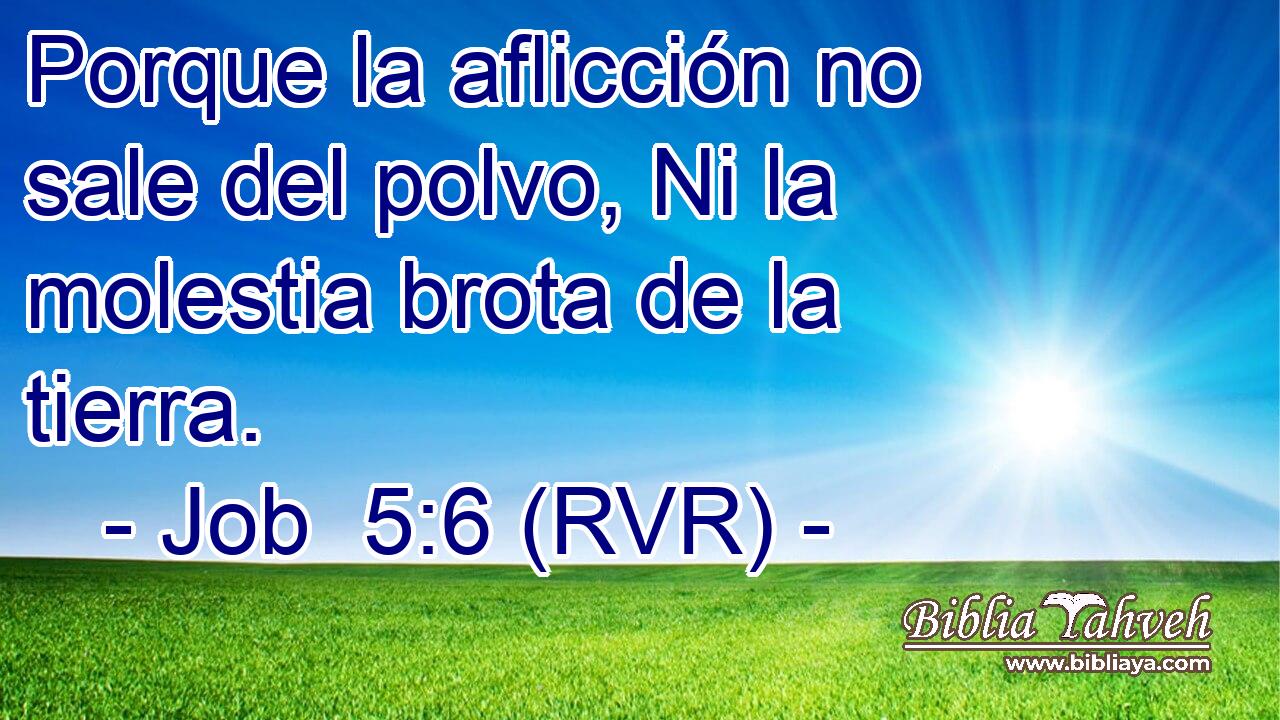 Porque la aflicción no sale del polvo, Ni la molestia brota de la tierra.
