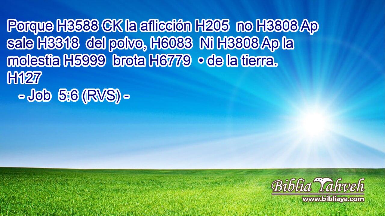 Porque H3588 CK la aflicción H205  no H3808 Ap sale H3318  del polvo, H6083  Ni H3808 Ap la molestia H5999  brota H6779  • de la tierra. H127  