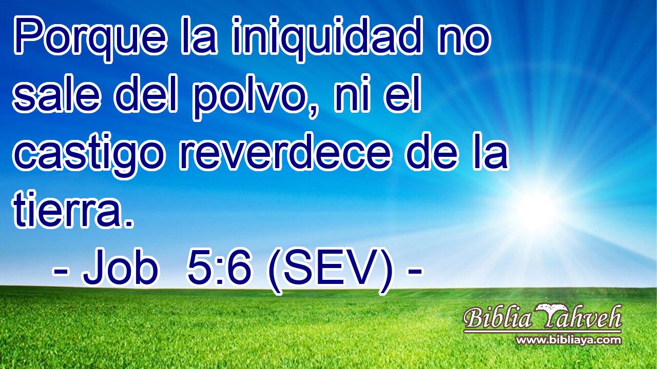 Porque la iniquidad no sale del polvo, ni el castigo reverdece de la tierra.