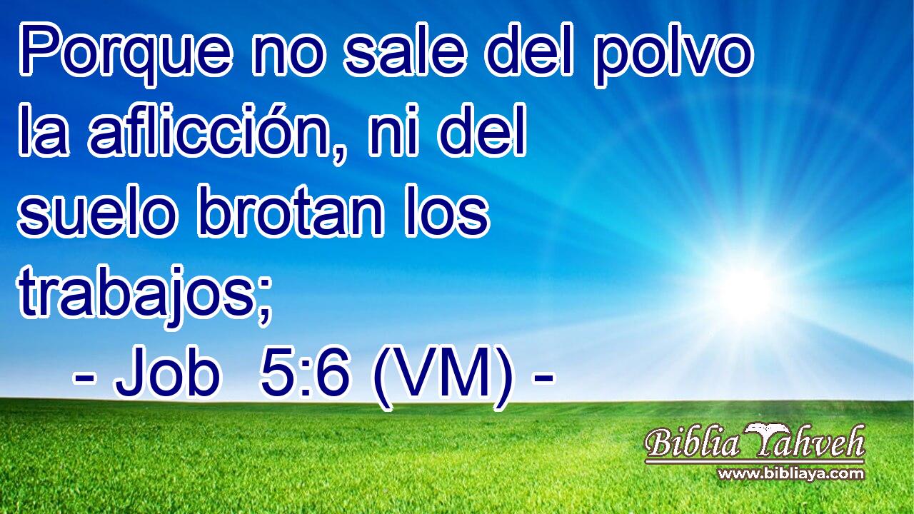  Porque no sale del polvo la aflicción, ni del suelo brotan los trabajos; 