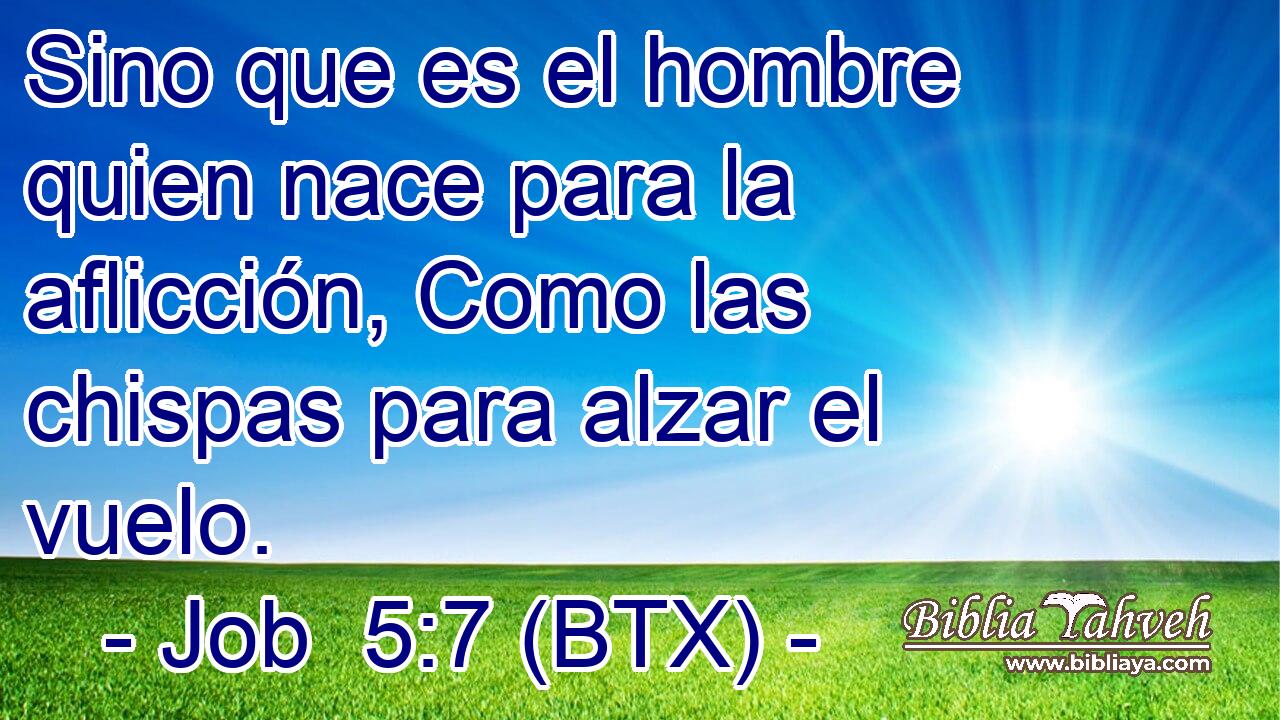 Sino que es el hombre quien nace para la aflicción, Como las chispas para alzar el vuelo.