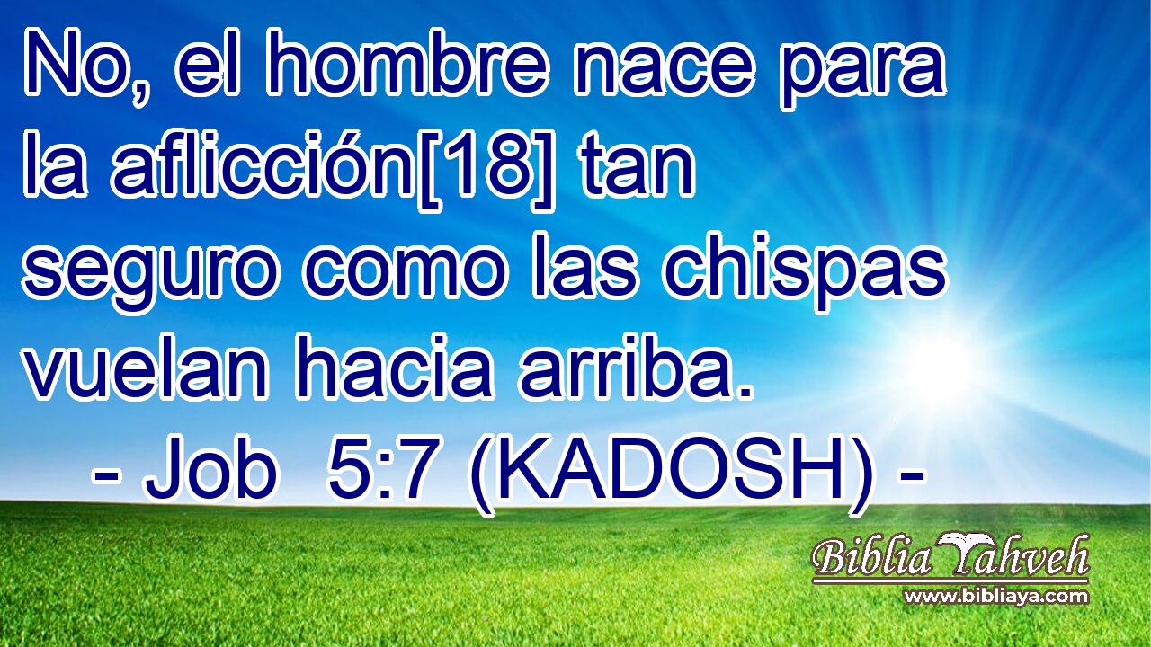  No, el hombre nace para la aflicción[18] tan seguro como las chispas vuelan hacia arriba. 