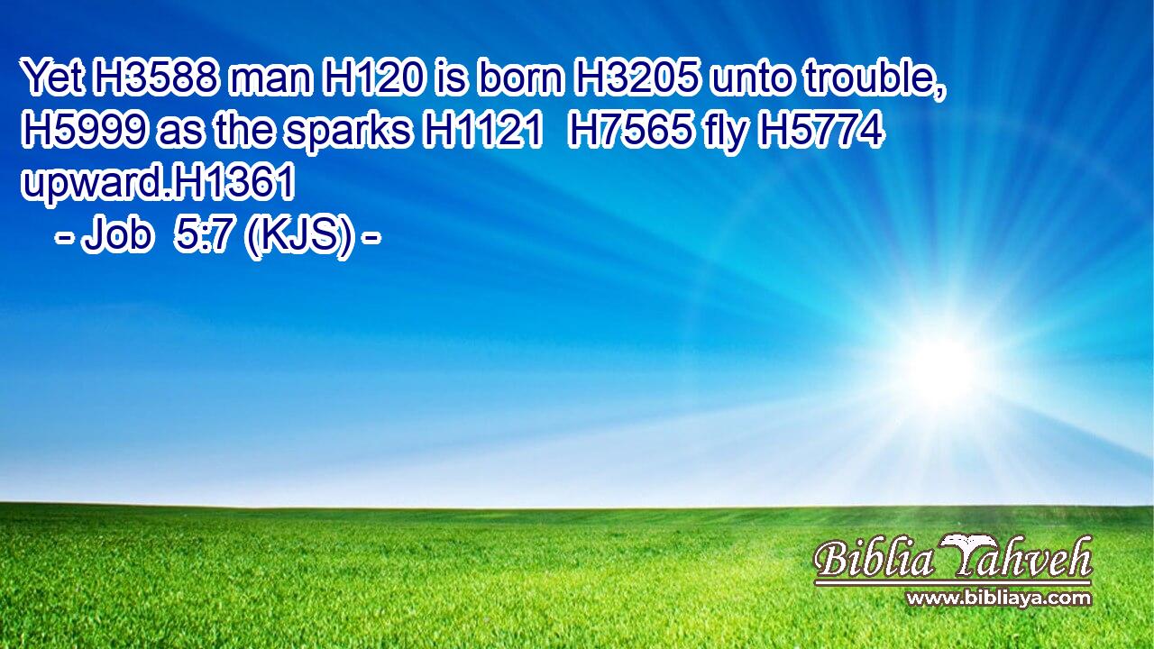 Yet H3588 man H120 is born H3205 unto trouble, H5999 as the sparks H1121  H7565 fly H5774 upward.H1361