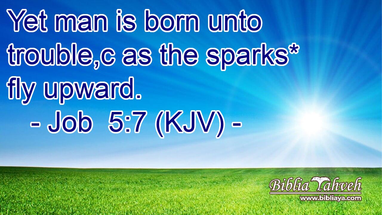 Yet man is born unto trouble,c as the sparks* fly upward.