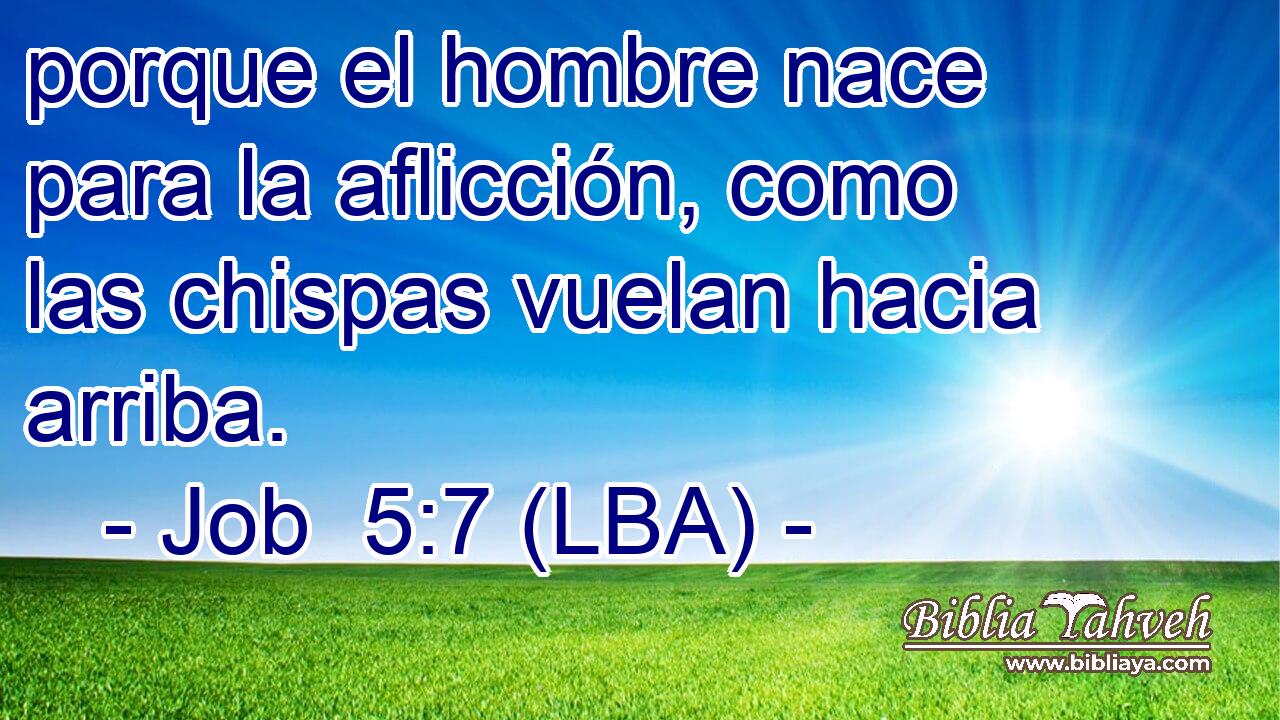 porque el hombre nace para la aflicción, como las chispas vuelan hacia arriba.