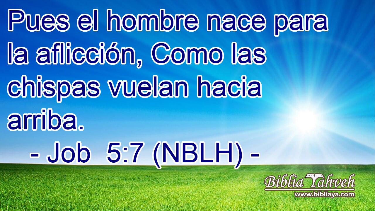  Pues el hombre nace para la aflicción, Como las chispas vuelan hacia arriba. 