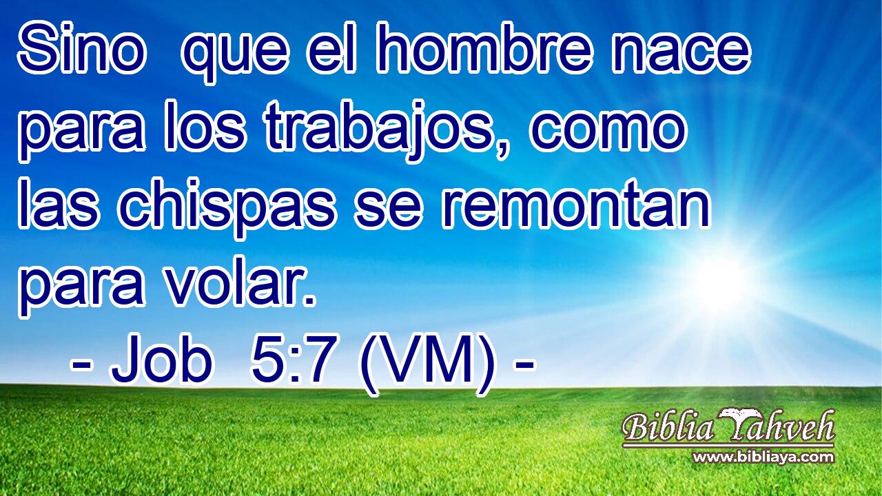  Sino  que el hombre nace para los trabajos, como las chispas se remontan para volar. 