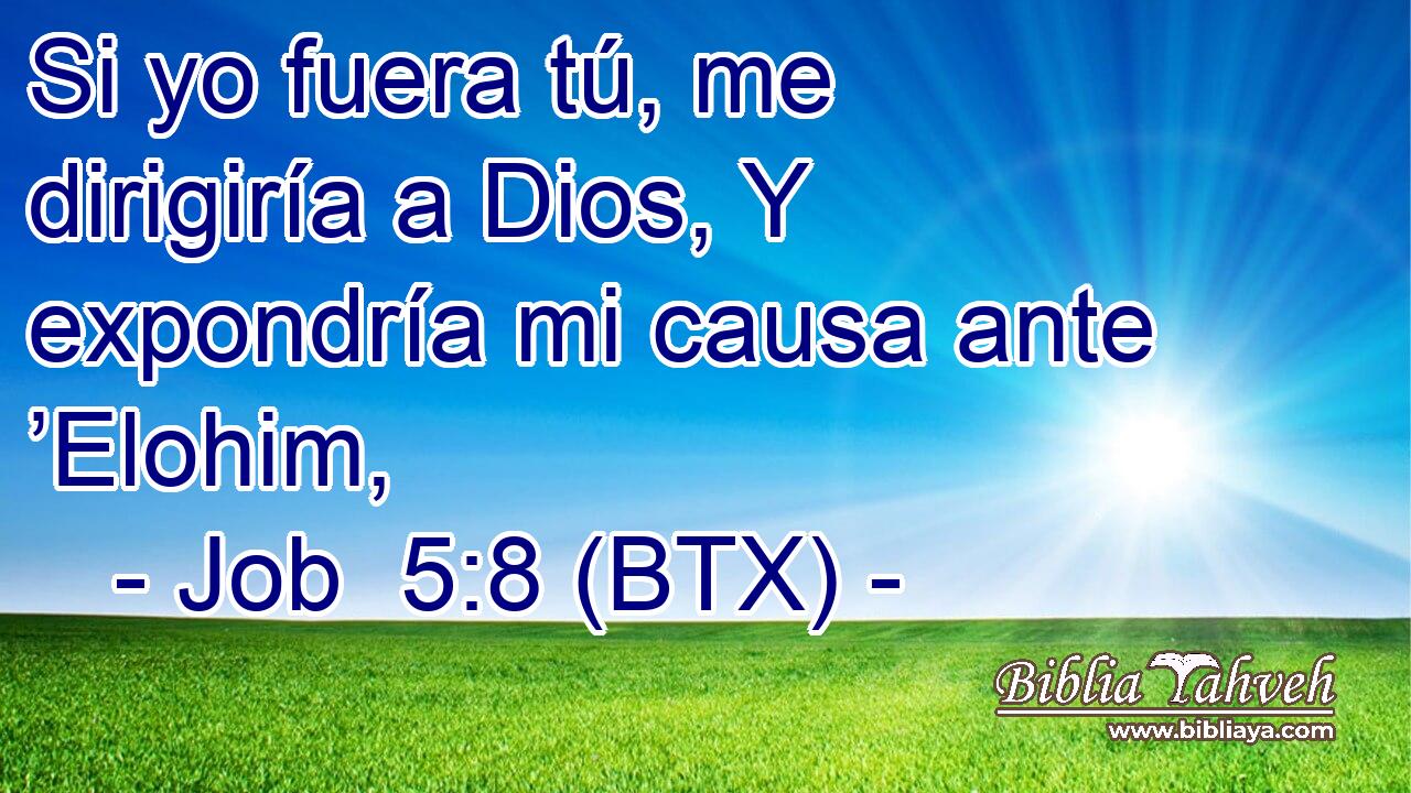 Si yo fuera tú, me dirigiría a Dios, Y expondría mi causa ante ’Elohim,