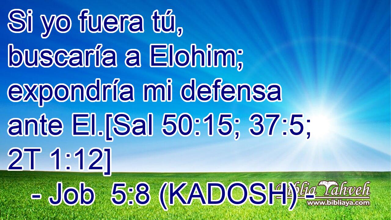  Si yo fuera tú, buscaría a Elohim; expondría mi defensa ante El.[Sal 50:15; 37:5; 2T 1:12] 