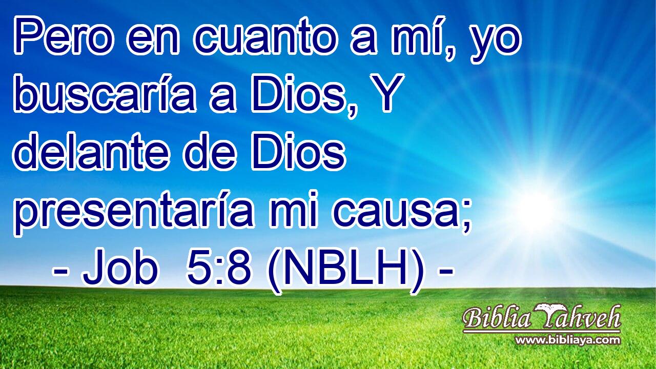  Pero en cuanto a mí, yo buscaría a Dios, Y delante de Dios presentaría mi causa; 