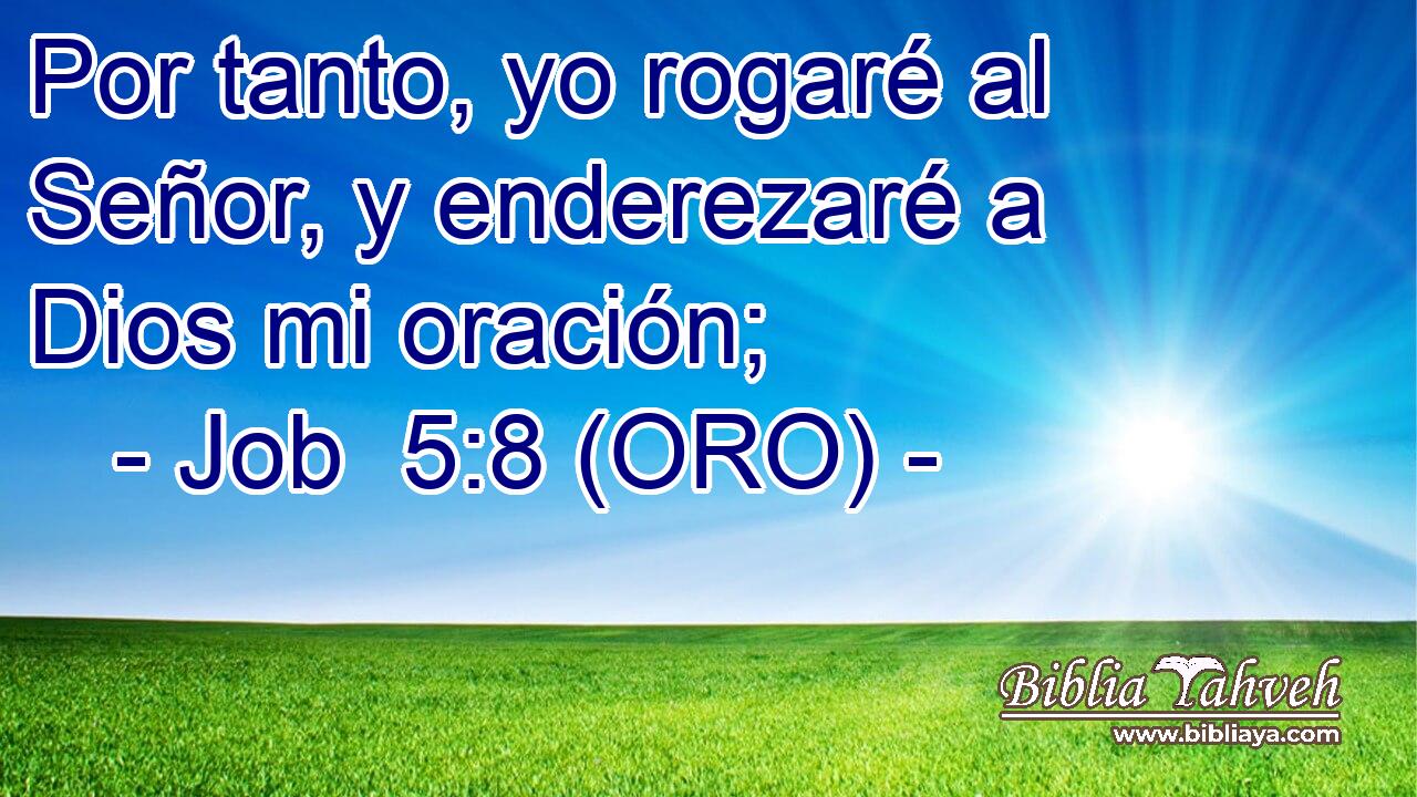  Por tanto, yo rogaré al Señor, y enderezaré a Dios mi oración; 