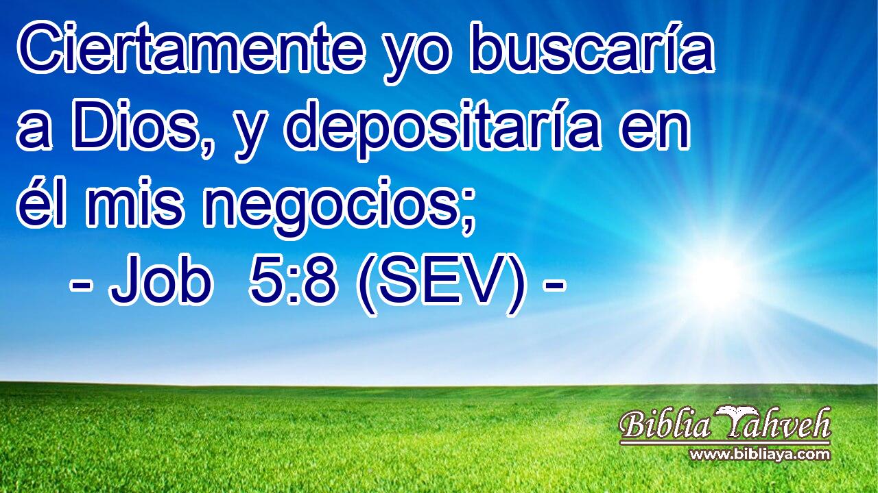 Ciertamente yo buscaría a Dios, y depositaría en él mis negocios;