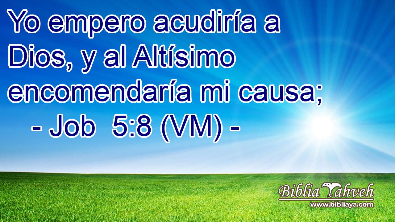  Yo empero acudiría a Dios, y al Altísimo encomendaría mi causa; 