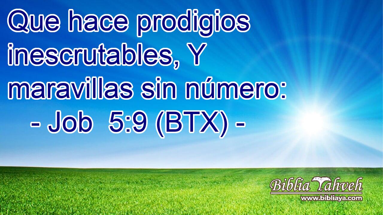 Que hace prodigios inescrutables, Y maravillas sin número: