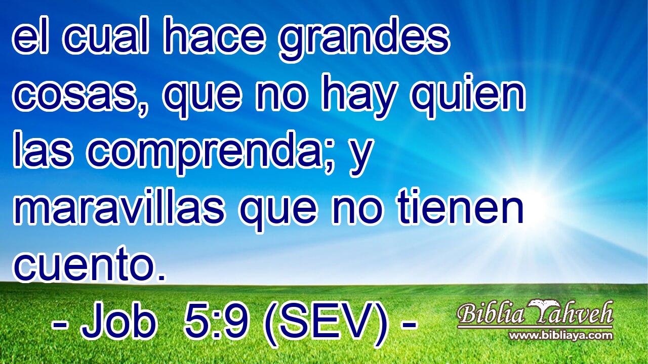 el cual hace grandes cosas, que no hay quien las comprenda; y maravillas que no tienen cuento.