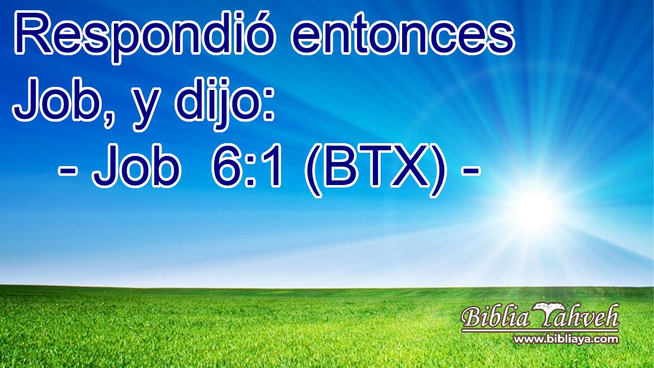 Respondió entonces Job, y dijo: