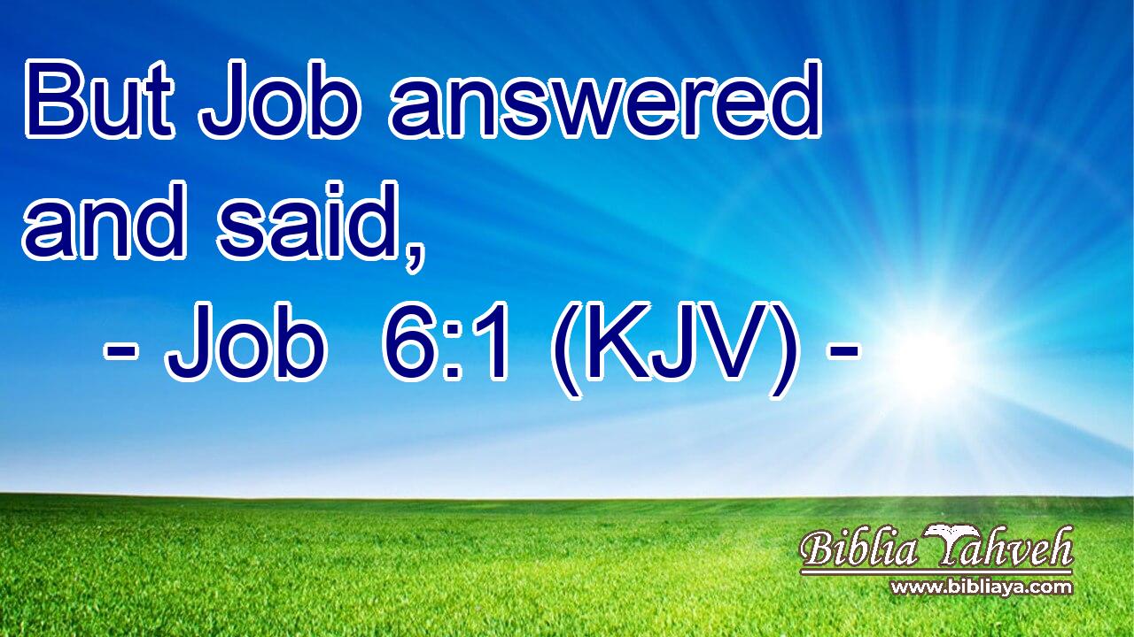 But Job answered and said,