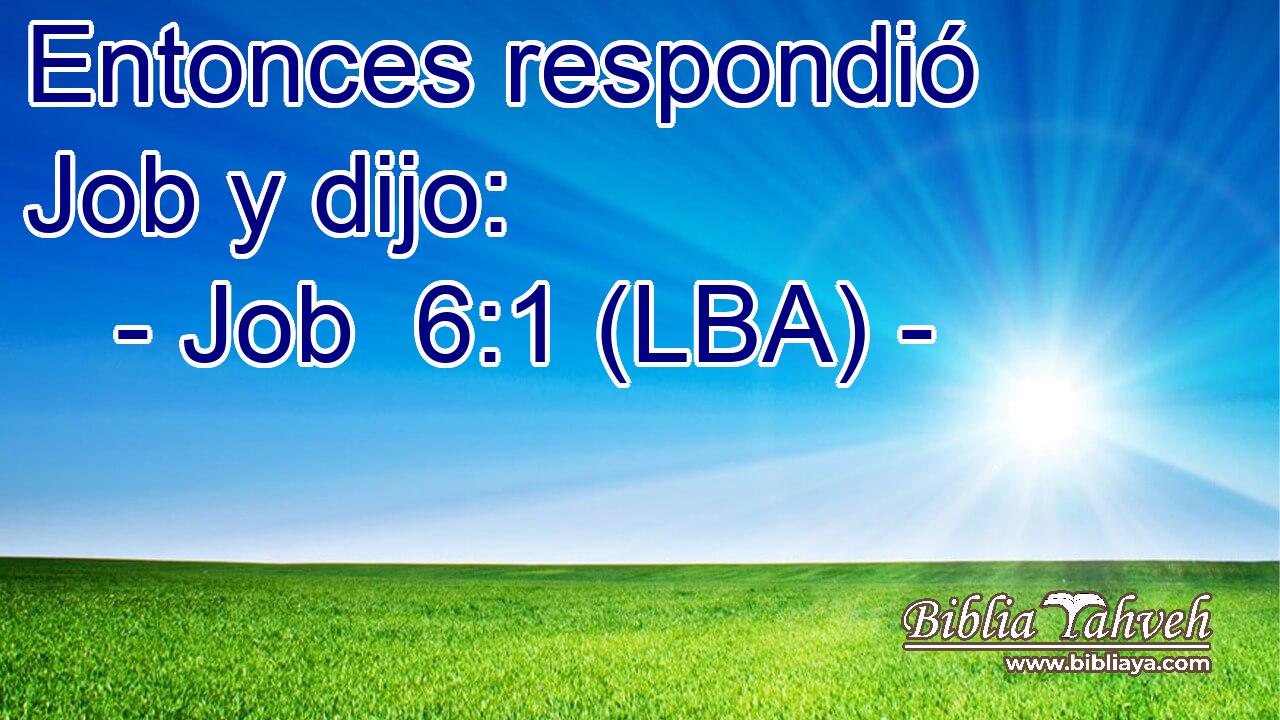 Entonces respondió Job y dijo: